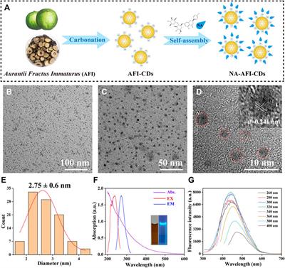 Natural biomass-derived carbon dots as a potent solubilizer with high biocompatibility and enhanced antioxidant activity